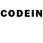 Галлюциногенные грибы Psilocybine cubensis Bootsect