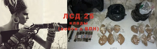 ГАЛЛЮЦИНОГЕННЫЕ ГРИБЫ Протвино