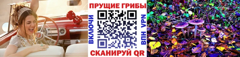 Псилоцибиновые грибы GOLDEN TEACHER  Семилуки 